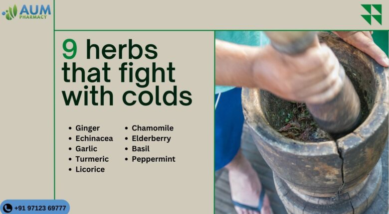 9 herbs that fight with colds